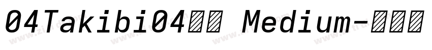 04Takibi04焚火 Medium字体转换